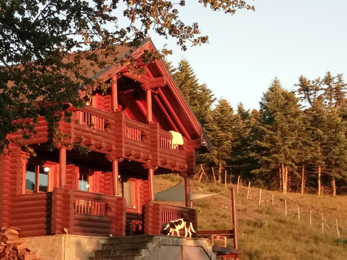 Katafygio Chalet, Krikello Kríkellon Buitenkant foto